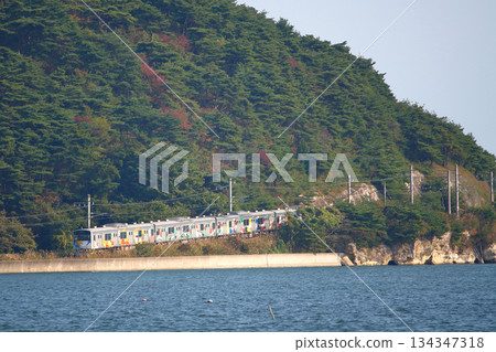 Senseki Line 205 系列 Mangattan 班輪沿海岸線運行（地震/災害影響路段之前：東名高速公路至陸前大塚） 134347318