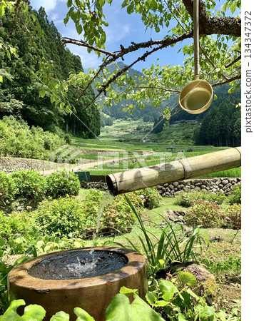 Water flows from a bamboo tube into a water basin among the green rice terraces (Yotsuya Senmaida, Shinshiro City, Aichi Prefecture) 134347372