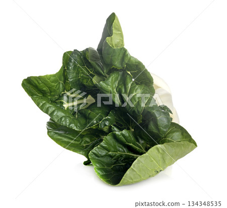 Bok choy in studio 134348535