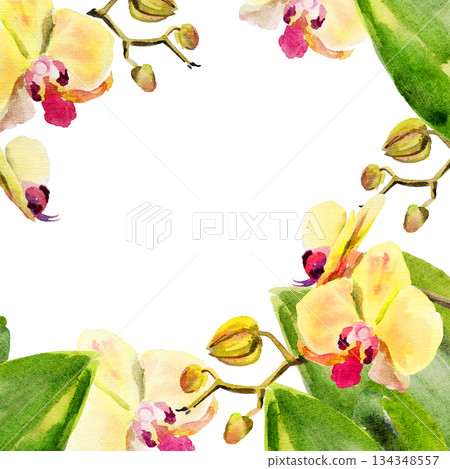 yellow and red orchid flowers, buds, twigs, green leaves, watercolor frame, hand drawn tropical plant, floral sketch of blossom flowers, botanical illustration for wedding decoration yellow and red orchid flowers, buds, twigs, green leaves, watercolor frame, hand drawn tropical plant, floral sketch of blossom flowers, botanical illustration for wedding decoration 134348557