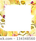 watercolor square frame with yellow and red orchid flowers, buds and twigs, hand drawn tropical plant, floral sketch of blossom flowers, botanical illustration for wedding decoration 134348560