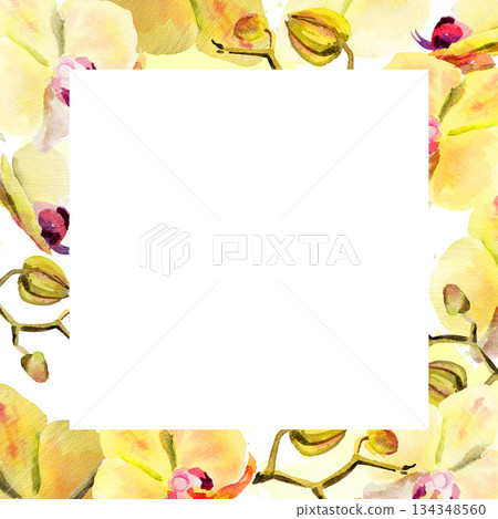 watercolor square frame with yellow and red orchid flowers, buds and twigs, hand drawn tropical plant, floral sketch of blossom flowers, botanical illustration for wedding decoration watercolor square frame with yellow and red orchid flowers, buds and twigs, hand drawn tropical plant, floral sketch of blossom flowers, botanical illustration for wedding decoration 134348560