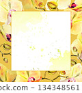 watercolor square frame with yellow and red orchid flowers, buds and twigs on deep yellow background, hand drawn tropical plant, floral sketch of blossom flowers, botanical illustration for decoration 134348561