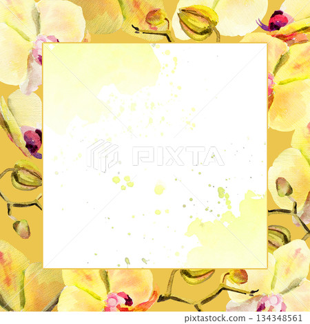 watercolor square frame with yellow and red orchid flowers, buds and twigs on deep yellow background, hand drawn tropical plant, floral sketch of blossom flowers, botanical illustration for decoration watercolor square frame with yellow and red orchid flowers, buds and twigs on deep yellow background, hand drawn tropical plant, floral sketch of blossom flowers, botanical illustration for decoration 134348561