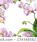 watercolor square frame with pink and purple orchid flowers, buds and green leaves, hand drawn tropical plant, floral sketch of blossom flowers, botanical illustration for wedding decoration 134348562