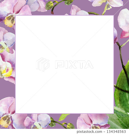 white frame on watercolor pink and purple orchid flowers background, buds and green leaves, hand drawn tropical plant, floral sketch of blossom flowers, botanical illustration for wedding decoration white frame on watercolor pink and purple orchid flowers background, buds and green leaves, hand drawn tropical plant, floral sketch of blossom flowers, botanical illustration for wedding decoration 134348563