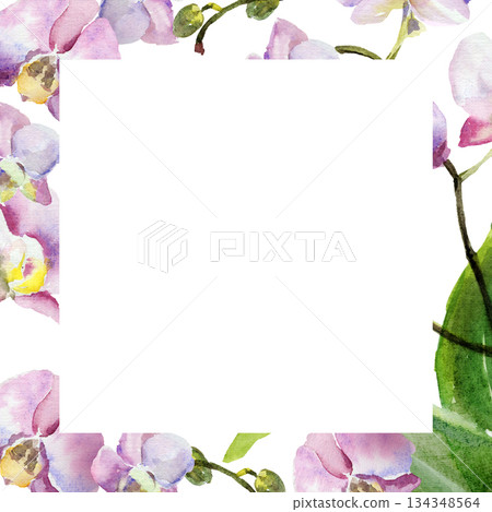 white frame on watercolor orchid flowers background, pink and purple, buds and green leaves, hand drawn tropical plant, floral sketch of blossom flowers, botanical illustration for wedding decoration white frame on watercolor orchid flowers background, pink and purple, buds and green leaves, hand drawn tropical plant, floral sketch of blossom flowers, botanical illustration for wedding decoration 134348564