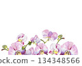 watercolor pink and purple orchid flowers, buds and green leaves, hand drawn tropical plant, floral sketch of blossom flowers, template frame, botanical illustration for wedding decoration 134348566