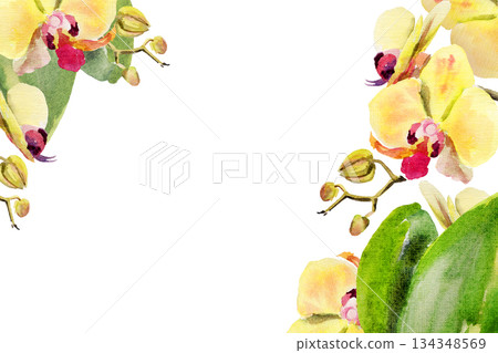 watercolor yellow and red orchid flowers, buds, twigs, green leaves, template frame, hand drawn tropical plant, floral sketch of blossom flowers, botanical illustration for wedding decoration 134348569