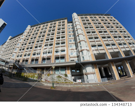 Kyushu University 134348713