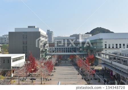 Kyushu University Kyushu University 134348720