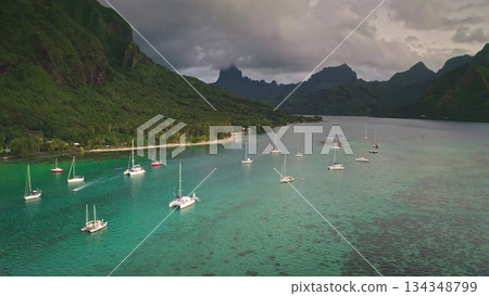 Moorea island's tropical landscape features lush green mountains descending to white sand beaches, with numerous sailboats anchored in the beautiful clear turquoise bay reflecting the cloudy sky 134348799