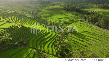 Bali island iconic rice terraces forming a vibrant green agricultural landscape, island traditional farming fields methods and lush tropical nature at sunset light. Aerial view drone flight panorama Bali island iconic rice terraces forming a vibrant green agricultural landscape, island traditional farming fields methods and lush tropical nature at sunset light. Aerial view drone flight panorama 134348855