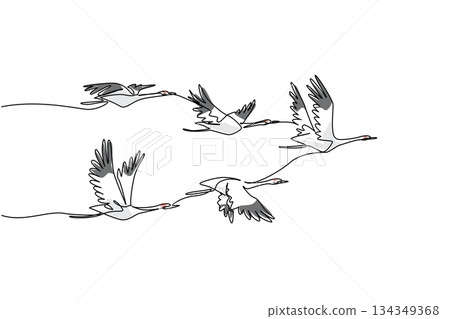 Single continuous line drawing a group of whooping cranes in flight with their wings in various positions. Formation during migration. Together. Whooping Crane Day. One line design vector illustration Single continuous line drawing a group of whooping cranes in flight with their wings in various positions. Formation during migration. Together. Whooping Crane Day. One line design vector illustration 134349368