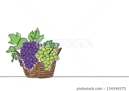Single continuous line drawing the green and purple grapes with leaves in a woven basket. Diversity abounds at harvest time. Delicious taste. National Grape Day. One line design vector illustration Single continuous line drawing the green and purple grapes with leaves in a woven basket. Diversity abounds at harvest time. Delicious taste. National Grape Day. One line design vector illustration 134349375