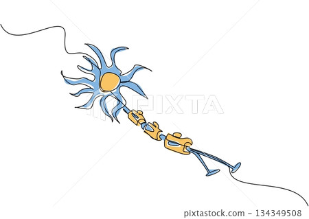 Single continuous line drawing multiple sclerosis nerves. Autoimmune disease disorders. Attacks healthy nerve cells. Symptom. Sick. World Multiple Sclerosis Day. One line design vector illustration 134349508