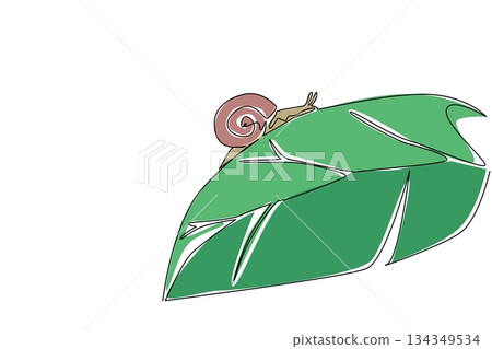 Continuous one line drawing snail walking beside leaf. Perch on the leaves at once to crush them completely. Trying to adapt. Habitat. National Snail Day. Single line draw design vector illustration 134349534