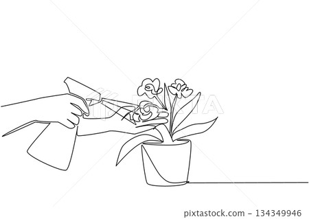 Single one line drawing hand spraying flowering plants in pots. Caring for flower pots for home decoration. The art of caring. National Water a Flower Day. Continuous line design graphic illustration 134349946