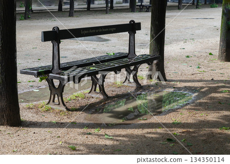 Benches garden beneath the shade of the trees with reflection in a puddle after rain. Benches garden beneath the shade of the trees with reflection in a puddle after rain. 134350114