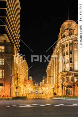 Illuminations in the former Kobe foreign settlement (Chuo Ward, Kobe City, Hyogo Prefecture) 134350221