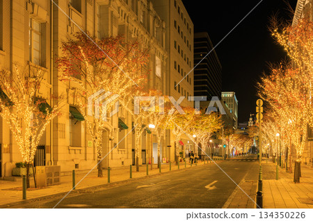 Illuminations in the former Kobe foreign settlement (Chuo Ward, Kobe City, Hyogo Prefecture) 134350226