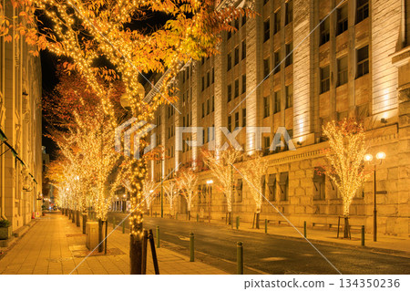 Illuminations in the former Kobe foreign settlement (Chuo Ward, Kobe City, Hyogo Prefecture) 134350236