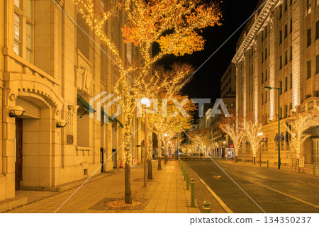 Illuminations in the former Kobe foreign settlement (Chuo Ward, Kobe City, Hyogo Prefecture) 134350237