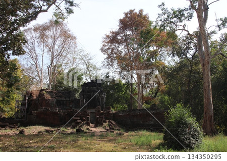 The Great Priah Khan's Inscription Library 134350295