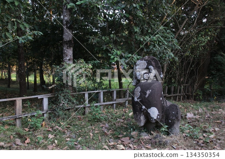 辛哈（Beng Meriah） 134350354