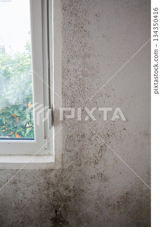Mold and Mildew on Wall Beside and Under Window 134350416