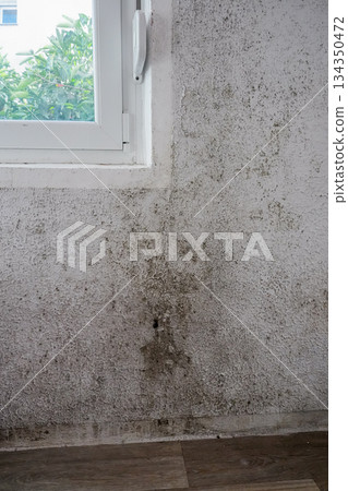 Black Mold Growing Under Window and on Side Wall 134350472