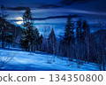 winter landscape at night. deciduous forest on snow covered hill in full moon light. beautiful scenery of park under blue sky for travel background. backdrop for fiction art or mystery concepts 134350800