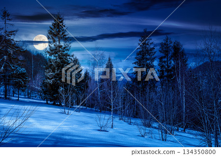 winter landscape at night. deciduous forest on snow covered hill in full moon light. beautiful scenery of park under blue sky for travel background. backdrop for fiction art or mystery concepts 134350800