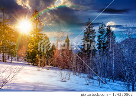 winter solstice landscape. day and night time change concept. deciduous forest on snow covered hill with sun and moon at twilight. beautiful scenery under blue sky. duality and transition template winter solstice landscape. day and night time change concept. deciduous forest on snow covered hill with sun and moon at twilight. beautiful scenery under blue sky. duality and transition template 134350802