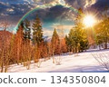 winter landscape at sunset. deciduous forest on snow covered hill in evening light. scenic scenery of natural park under blue sky for travel background. storytelling cinematic image under the rainbow 134350804