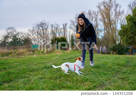 Woman standing on grass holding ball while small dog runs toward her Woman standing on grass holding ball while small dog runs toward her 134351208
