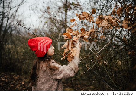 Autumn portrait of girl in forest, examinig dry leaves. Autumn portrait of girl in forest, examinig dry leaves. 134352190