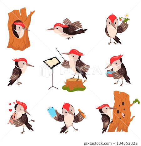 Woodpecker characters. Cartoon funny woodpeckers on tree, drink tea, looking food. Cute forest wild bird different poses, childish mascot, nowaday vector set 134352322