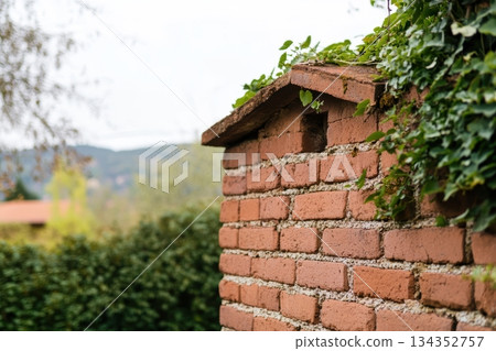 Charming brick wall adorned with lush greenery in a serene landscape Charming brick wall adorned with lush greenery in a serene landscape 134352757