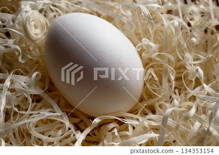A white hen's egg is shown surrounded by natural wood shavings. Close-up horizontal image A white hen's egg is shown surrounded by natural wood shavings. Close-up horizontal image 134353154