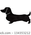 黑色迷你臘腸犬水彩插圖 134353212