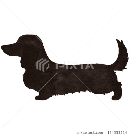 水彩插畫,描繪了一隻黑色長毛迷你臘腸犬 水彩插畫,描繪了一隻黑色長毛迷你臘腸犬 134353214