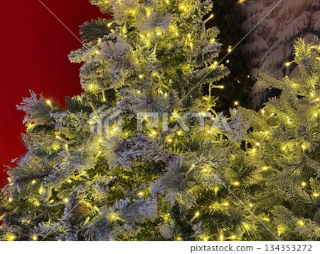 Snowy Christmas trees with glowing lights against red festive background. Winter celebration, seasonal decoration, magical holiday ambiance, cozy illumination and classic Christmas atmosphere Snowy Christmas trees with glowing lights against red festive background. Winter celebration, seasonal decoration, magical holiday ambiance, cozy illumination and classic Christmas atmosphere 134353272