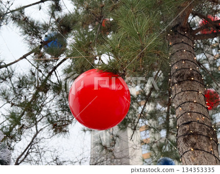 Large red Christmas ornament hanging on pine tree branch outdoors. Minimal holiday decor, winter mood, and seasonal street decoration 134353335