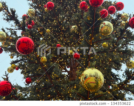 Decorated Christmas tree with red and gold ornaments outdoors. Festive city holiday atmosphere, winter celebration, seasonal decoration and evening lights Decorated Christmas tree with red and gold ornaments outdoors. Festive city holiday atmosphere, winter celebration, seasonal decoration and evening lights 134353622