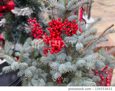 Evergreen branches with red berries and festive lights close up. Christmas decoration, winter greenery and holiday natural texture Evergreen branches with red berries and festive lights close up. Christmas decoration, winter greenery and holiday natural texture 134353631