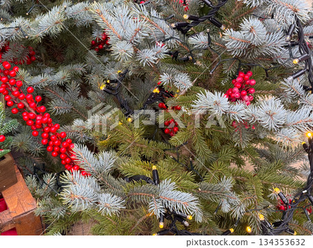 Evergreen branches with red berries and festive lights close up. Christmas decoration, winter greenery and holiday natural texture 134353632