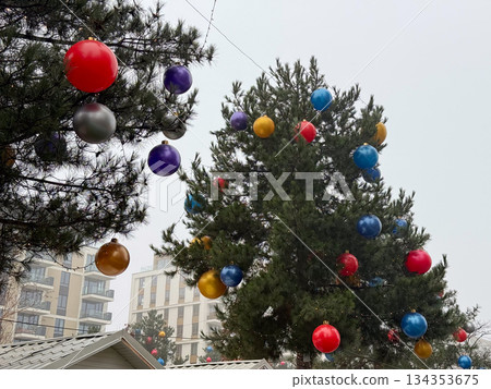 Decorated pine trees with colorful Christmas balls against cloudy winter sky. Festive outdoor installation, seasonal celebration and urban holiday mood. Decorated pine trees with colorful Christmas balls against cloudy winter sky. Festive outdoor installation, seasonal celebration and urban holiday mood. 134353675