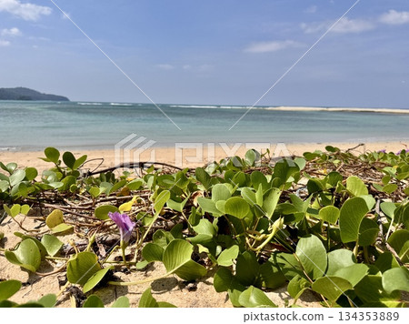 Sunny day in Asia, beautiful deserted beach 134353889