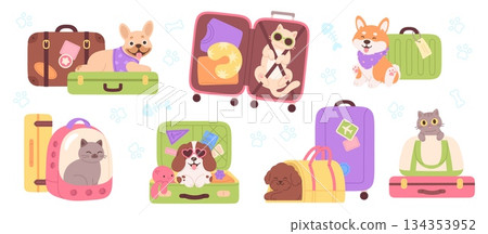 Travel with pets. Puppies and kitten in suitcases and touristic bags. Positive dog has journey, cat looking from purse. Animal tourism racy vector set 134353952